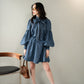 Denim Desire Dress LIGHT