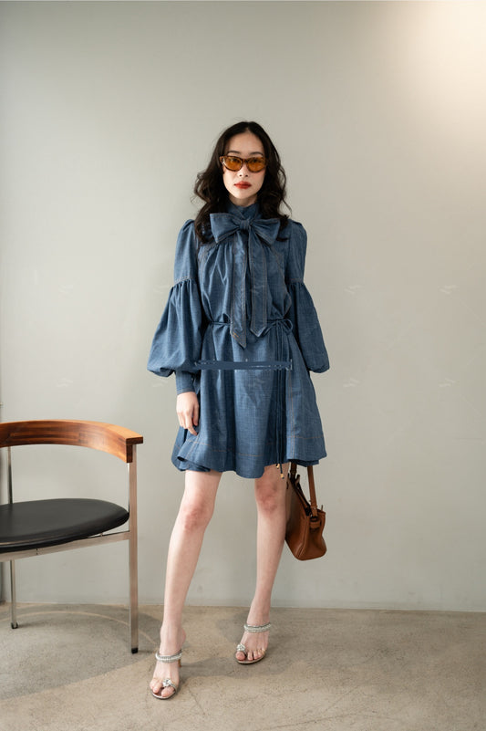 Denim Desire Dress LIGHT